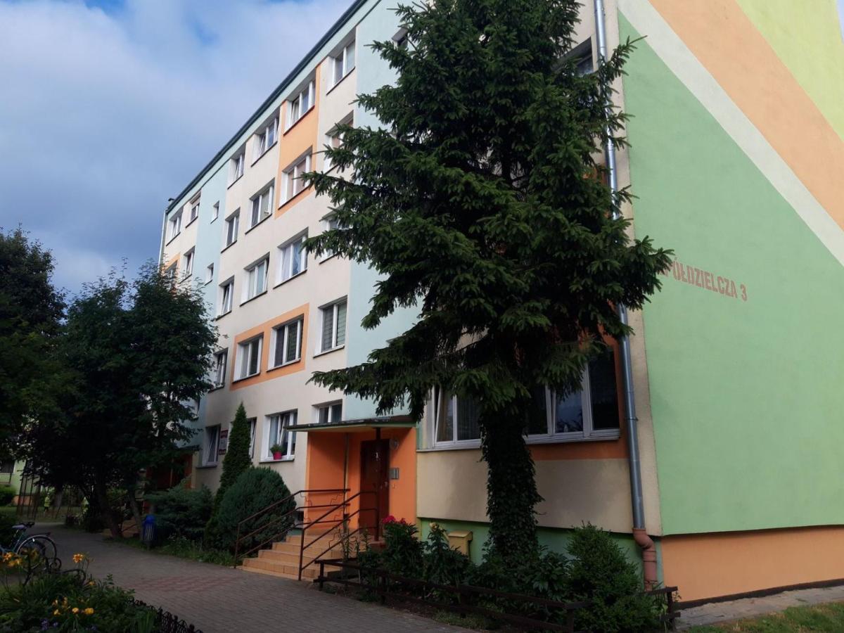 Apartament Aleksander Ciechocinek Exterior photo